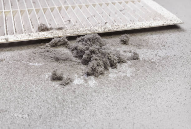 Best Local Air Duct Cleaning Services  in Dwight, IL