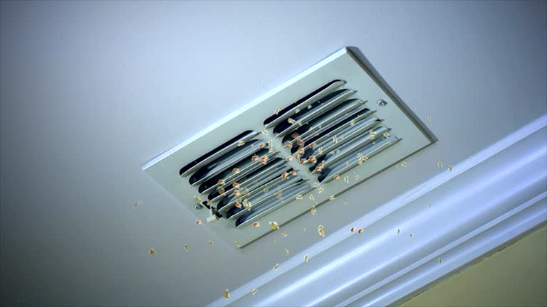 Best Ductwork Cleaning Services  in Dwight, IL