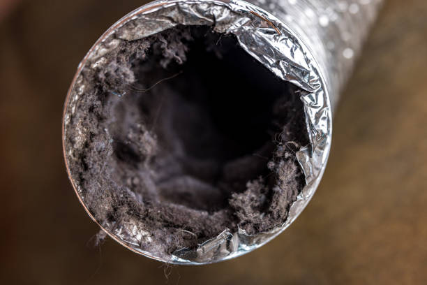 Best Air Duct Cleaning Company Near Me  in Dwight, IL