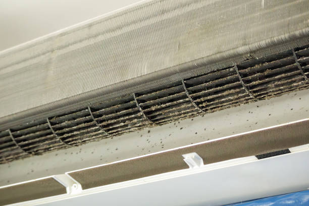 Best Air Vent Cleaning Services  in Dwight, IL