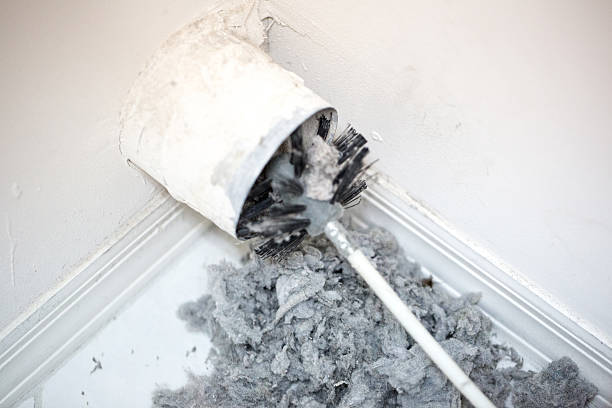 Best Air Duct Cleaning Near Me  in Dwight, IL